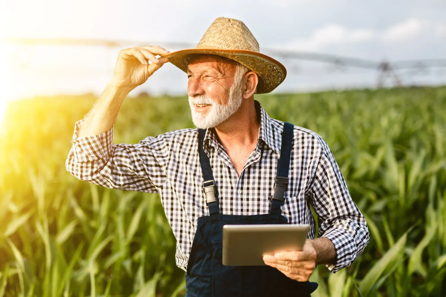 Produtor rural segurando tablet em plantação, representando investimentos com crédito rural e consórcio